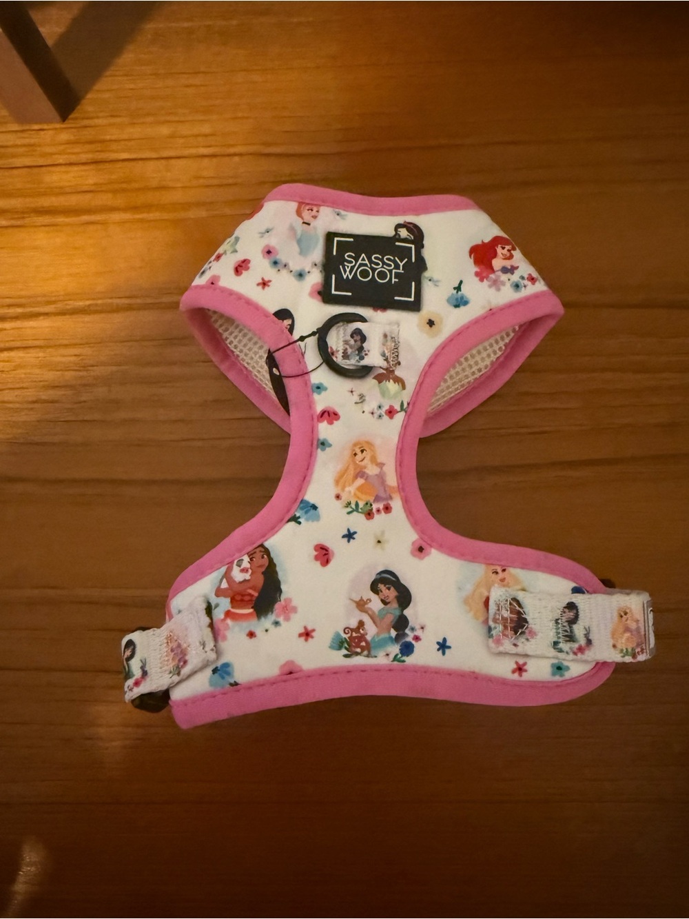 Pink Princess Small Pets Harness